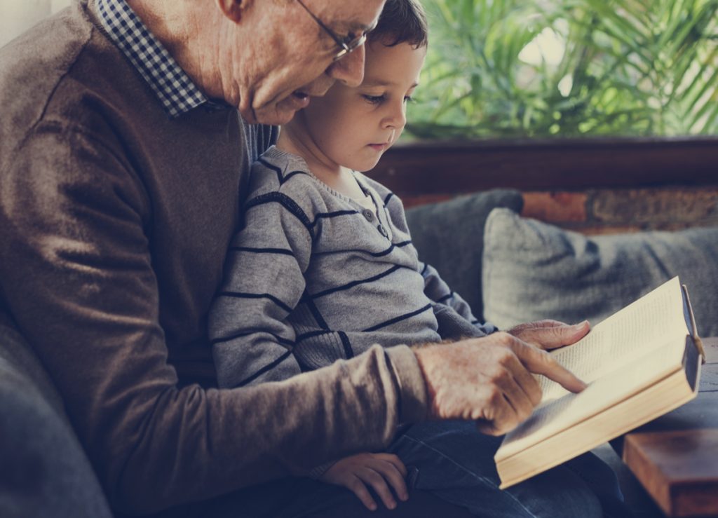 Novusetin® Fisetin Extract - Cognitive Support