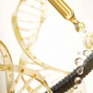 nutraceutical-products-manufacturer nutraceutical-products-manufacturer