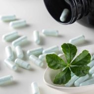 plant-based-nutraceuticals plant-based-nutraceuticals